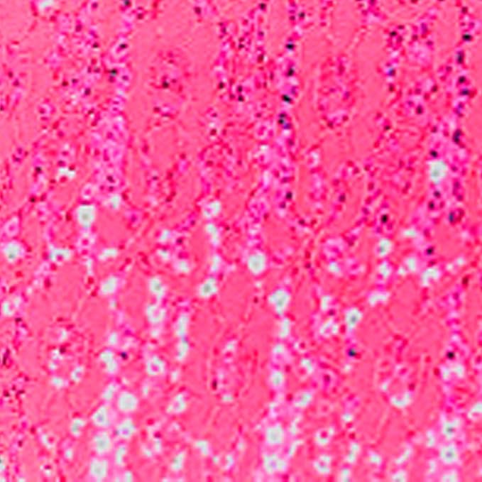 CAR PASS Universal Leather Pink Lace Car Seat Covers Full Set for Women Girls, Waterproof Car Floor Mats Carpet, Steering Wheel Cover for Car Accessories Interior Sets 10PCS Included