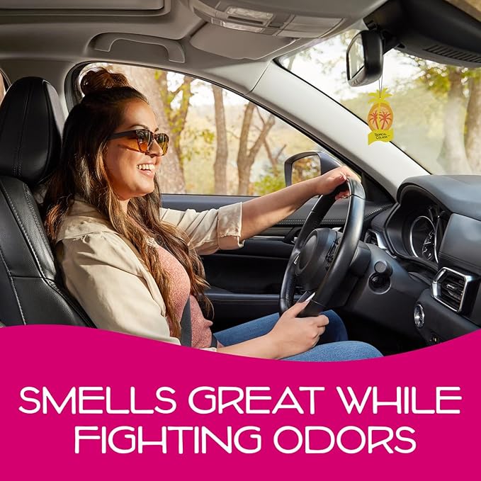 California Scents Palms Paper Tropical Colada Air Freshener