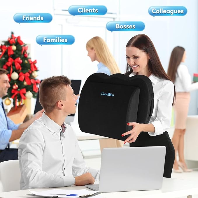 CloudBliss Lumbar Support Pillow & Seat Cushion Set for Office Chair, Desk Chair, Wheelchair & Car–Memory Foam Back Support,Ergonomic Chair Cushions,Sciatica Pain Relief,Home Essentials(Black,XL)