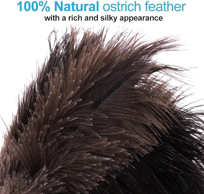 Midoneat Natural Black Ostrich Feather Duster,2 Packs,Car Duster Interior/Exterior Cleaner, Cleaning for Blinds Kitchen Keyboard Office, Smart and Soft and Fluffy (Black)