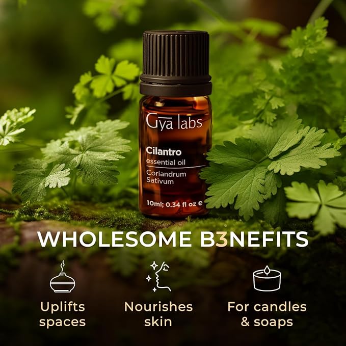 100% Pure Cilantro Essential Oil - 0.34 Fl Oz - Cilantro Oil for Hair, Skin, Diffuser, Aromatherapy & DIY Candle Making Scent