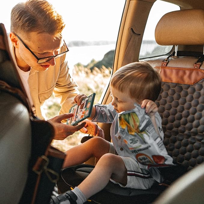 Owleys Set Seat Back Organizer & Car Seat Protector Hexy Waterproof & Non-Slip Protector for Child Car Cushion for Leather and Fabric Seats (Hexy 2pcs)