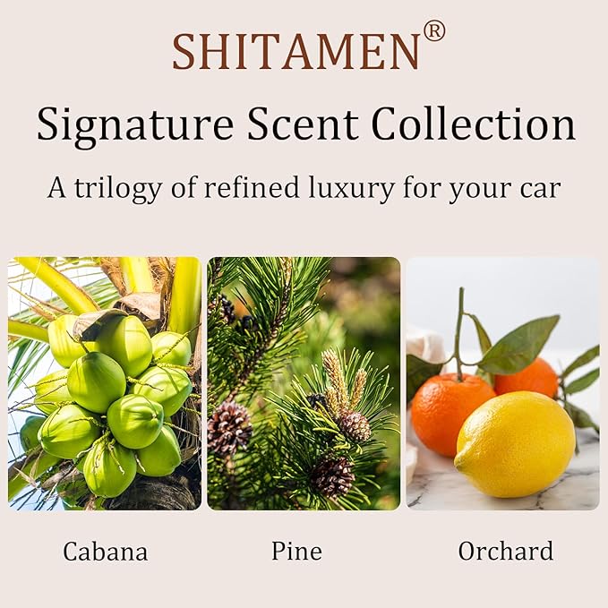 Car Air Freshener, Stone Air Freshener, Automotive Odor Eliminator for Visor Clip- Car Fresheners Long Lasting - Variety 3 Pack - CLIP INCLUDED (Cabana-Pine-Orchard)