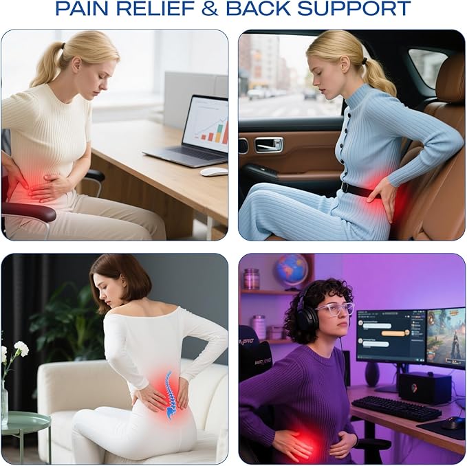 Skechers Women’s Lumbar Pillow, Memory Foam Lumbar Support Pillow for Office,Chair Lower Back Pain Relief Lumbar Pillow,Ergonomic Design Back Support Pillow for Office Chair,Car,Home,Travel,Blue