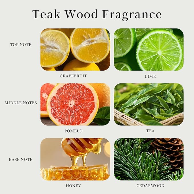 Labbyway Car Air Fresheners-Scent Diffuser for Car-Includes Fruit/Plants Scented Refills-Car Air Freshener vent clips-Long Lasting Air Freshener-Car Fresheners-Odor Eliminator-Champagne Gold