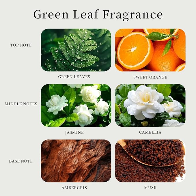 Labbyway Car Air Fresheners-Scent Diffuser for Car-Includes Fruit/Plants Scented Refills-Car Air Freshener vent clips-Long Lasting Air Freshener-Car Fresheners-Odor Eliminator-Champagne Gold
