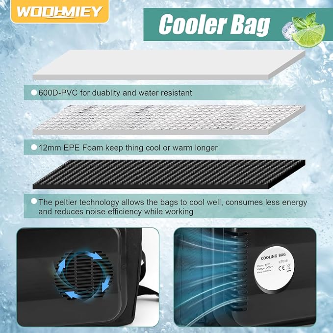 15L Portable Electric Cooler Bag,Car Cooler Watertight Liner Bag, Soft Sided Thermoelectric Travel Cooler with Shoulder Strap, Storage Pocket & DC 12V Plug in for