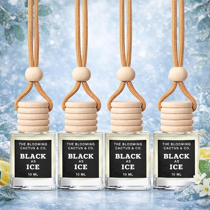 4 Pack Air fresheners | Long lasting car air fresheners, Hand-made in USA | Small room diffuser | Small Business Woman Owned. (10 ml Black Ice (Type) set of 4)