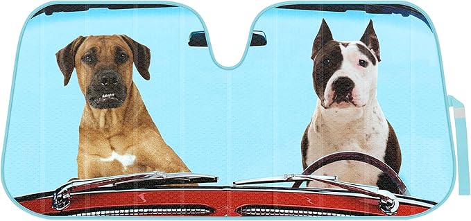 2 Dogs Driving Front Windshield Sun Shade - Accordion Folding Auto Sunshade for Car Truck SUV - Blocks UV Rays Sun Visor Protector - Keeps Your Vehicle Cool - 58 x 28 Inch