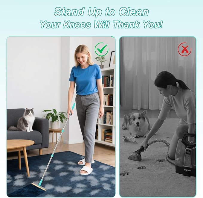 Carpet Rake for Pet Hair Removal Tool - Reusable Dog Cat Hair Remover Scraper with Adjustable Long Handle, Carpet Clean Brush & Broom for Rugs, Mats, Couch, Furniture and Car Interiors