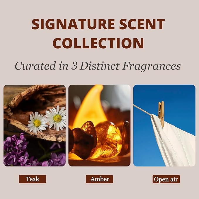 Car Air Freshener - Stone Air Freshener - Car Odor Eliminator for Visor Clip- Natural Scent Starter Kit, Vehicle Scent Diffuser for Cabin, Truck & SUV-Pack of 3 (Teak-Amber-Open Air)-CLIP INCLUDED