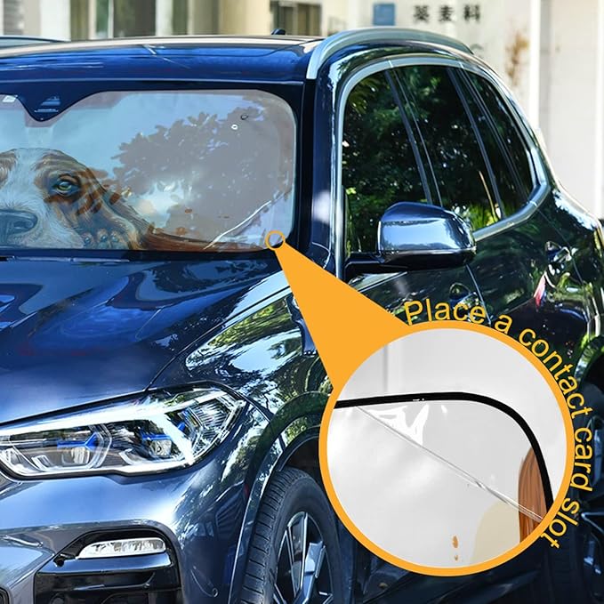Basset Hound Windshield Sun Shade Basset Hound Sunshade Auto Blocks UV Rays Visor Protector Funny Dog Accordion Folding Sun Reflector Auto Sunshade for Car Truck SUV to Keep Your Vehicle Cool