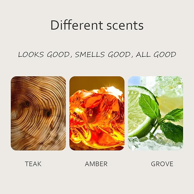 Stone Car Air Freshener - Car Odor Eliminator - Long Lasting Scent - Auto Accessories - NO CLIP INCLUDED (Woodiness/3 Pack Refill)