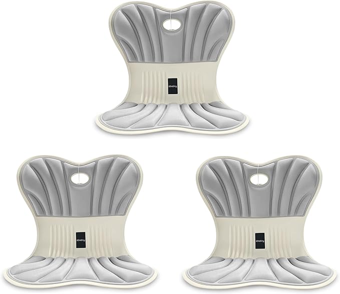 Posture Support Cushion - Lumbar & Back Support for Office Chair, Car Seat, Sofa, Ergonomic Chair & Back Cushion Back Support (03)