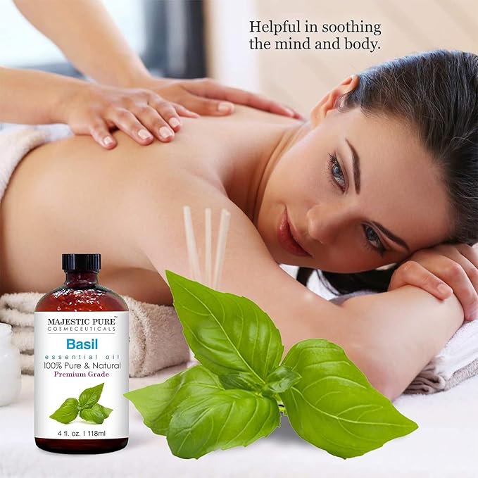 Majestic Pure Essential Oil with Glass Dropper - 100% Pure and Natural - Essential Oils for Diffuser, Aromatherapy, Soap and Candle Making, Basil Essential Oil, Basil Oil, 4 Fl Oz