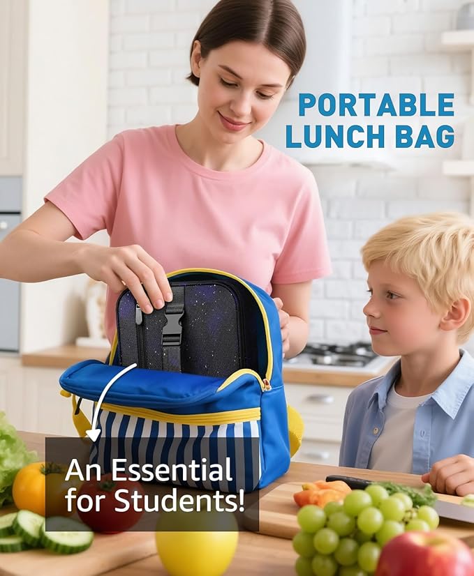 Small Lunch Box Insulated Lunch Bag for Women Men, Bento Kids Lunch Box, Compact Portable Thermal Meal Cooler Bags with Buckle Handle for Work & School, Astral 5L