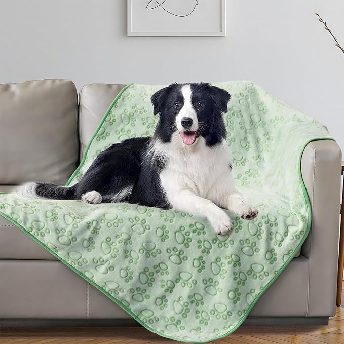 Stuffed Premium Green Soft Dog Blanket, with Flannel Green Cute Paw Print, Puppy Supplies Dog Stuff Essentials, 43 * 66 inches for Large Dogs