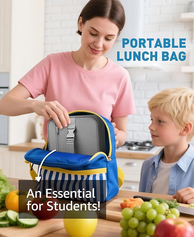 Small Lunch Box Insulated Lunch Bag for Women Men, Bento Kids Lunch Box, Compact Portable Thermal Meal Cooler Bags with Buckle Handle for Work & School, Gray 5L