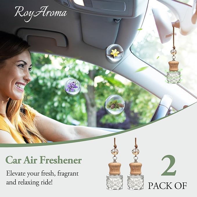 RoyAroma Hanging Car Air Fresheners, 2 Pack Long Lasting Automotive air fresheners up to 30-45 Days, Non Toxic Natural Fragrance Car Diffuser Freshener for Cars,Home,Office- Cool Ice
