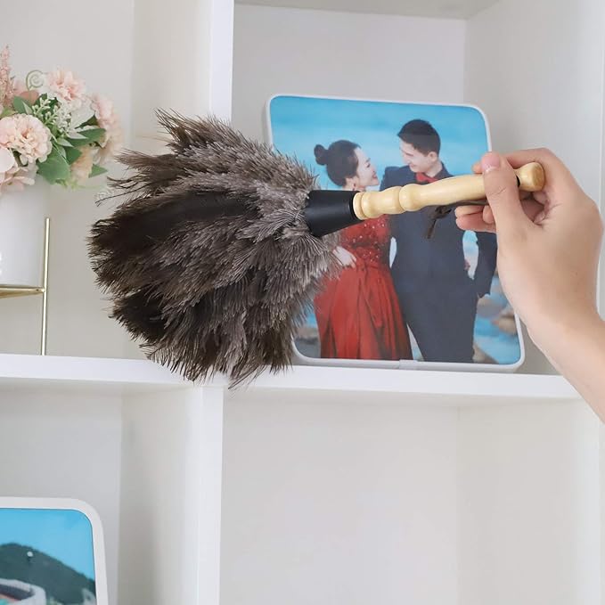 Midoneat Natural Gray Ostrich Feather Duster,2 Packs,Car Duster Interior/Exterior Cleaner, Cleaning for Blinds Kitchen Keyboard Office, Smart and Soft and Fluffy (Gray)