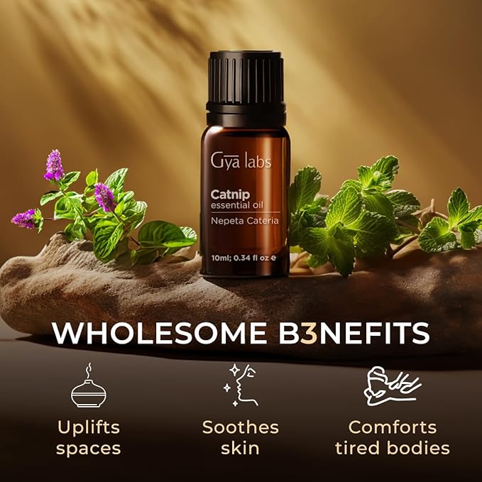 100% Pure Catnip Essential Oil - 0.34 Fl Oz - Catnip Oil for Hair, Skin, Diffuser, Aromatherapy & DIY Candle Making Scent