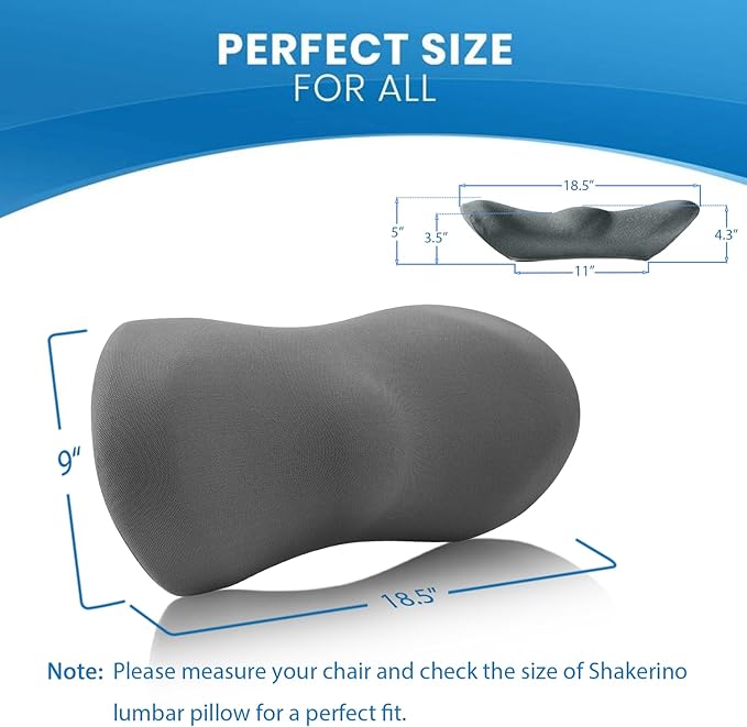 Lumbar Support Pillow for Car with Dual-Grip™ Stability System - Advanced Adaptive Memory Foam Back Pillow for Lower Back Pain Relief, Ergonomic Driving Seat & Office Chair Cushion, Gray
