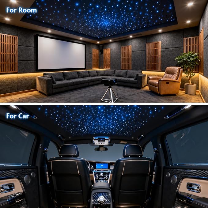 Twinkle Starlight Headliner Light,16W 650pcs 9.8ft LED Star Ceiling Fiber Optic Light Kit APP/Remote Control for Car/Home/Party