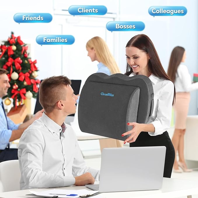 CloudBliss Lumbar Support Pillow & Seat Cushion Set for Office Chair, Desk Chair, Wheelchair & Car – Memory Foam Back Support, Ergonomic Chair Cushions, Sciatica Pain Relief, Home Essentials, Grey