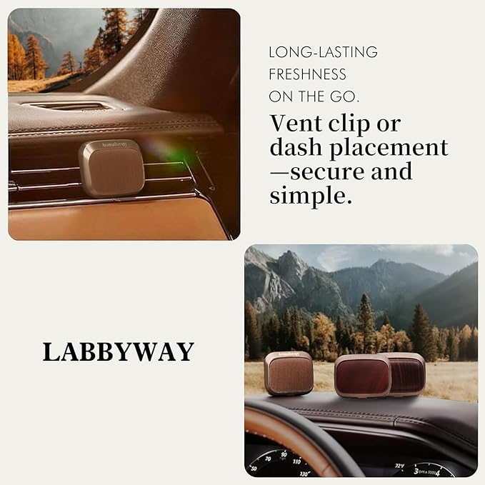 Labbyway Car Air Fresheners-Scent Diffuser for Car-Includes Fruit/Plants Scented Refills-Car Air Freshener vent clips-Long Lasting Air Freshener-Car Fresheners-Odor Eliminator-Champagne Gold