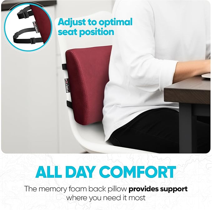 FORTEM Lumbar Support Pillow for Office Chair, Lumbar Support Pillow for Car, Back Rest for Gaming, Memory Foam Pillow, Desk Chair Cushion, Breathable & Washable Cover, Adjustable Straps