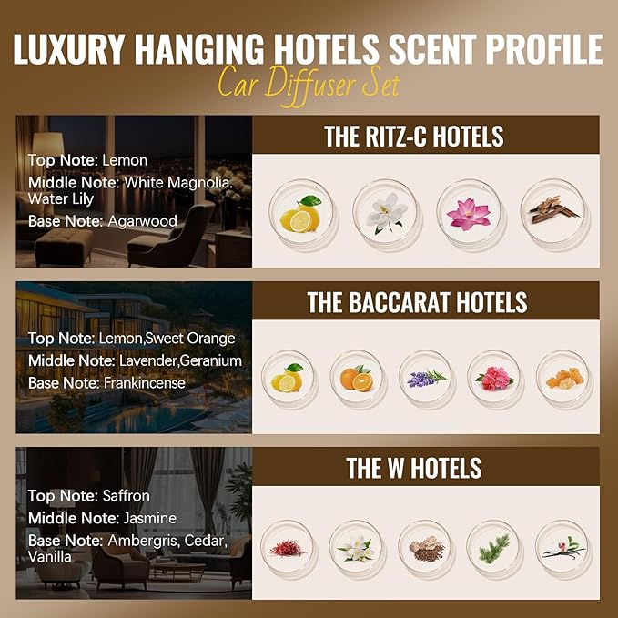 Aeshory Car Air Freshener Hanging - 3-Pack, Hotel Collection Car fresheners long lasting, Inspired by Ritz-C Hotels, Baccarat, W Hotels.Car Air Freshener for Women and Men,0.27 FL OZ/8ML