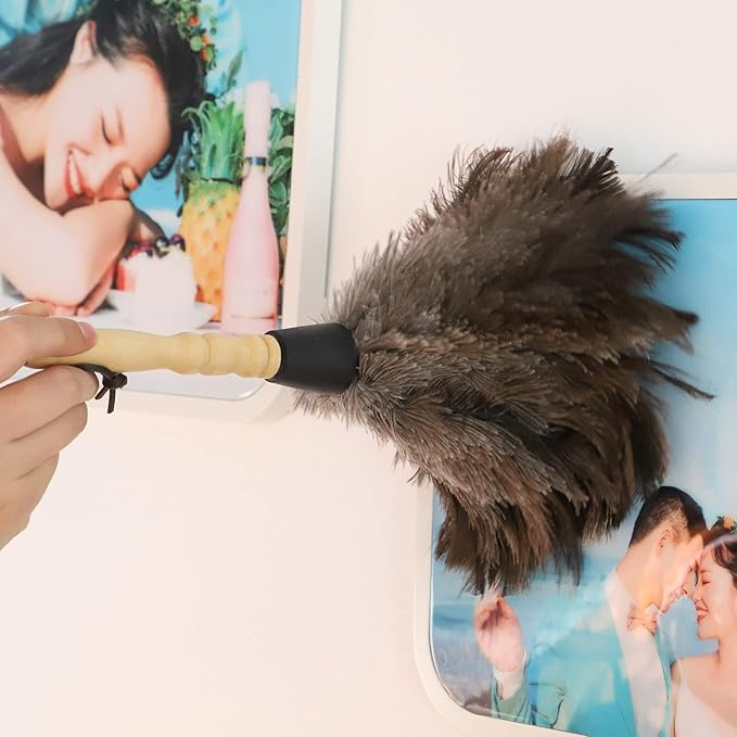 Midoneat Natural Gray Ostrich Feather Duster,2 Packs,Car Duster Interior/Exterior Cleaner, Cleaning for Blinds Kitchen Keyboard Office, Smart and Soft and Fluffy (Gray)