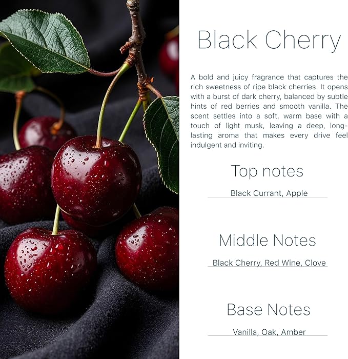 Car Air Freshener Black Cherry 2 Pack Hanging Air Freshener Diffuser, Cute Car Accessories Air Freshner for Women & Men Gift Non-Toxic Car Scent Long Lasting Oil Diffuser Made in USA