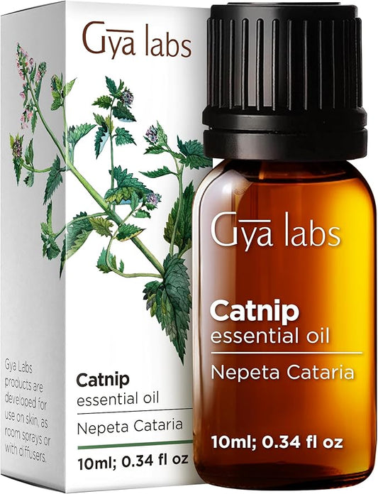 100% Pure Catnip Essential Oil - 0.34 Fl Oz - Catnip Oil for Hair, Skin, Diffuser, Aromatherapy & DIY Candle Making Scent