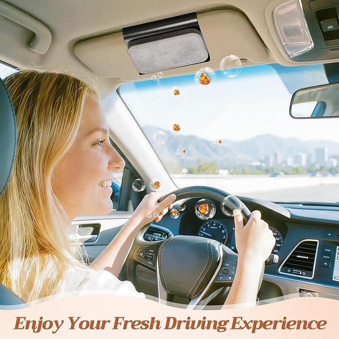 2 Pcs Car Air Freshener Set Stone Air Freshener Vehicle Scent Diffuser Car Odor Eliminator, 2 Long Lasting Scents Amber Tectona Grandis Refills, Metal Clip Included