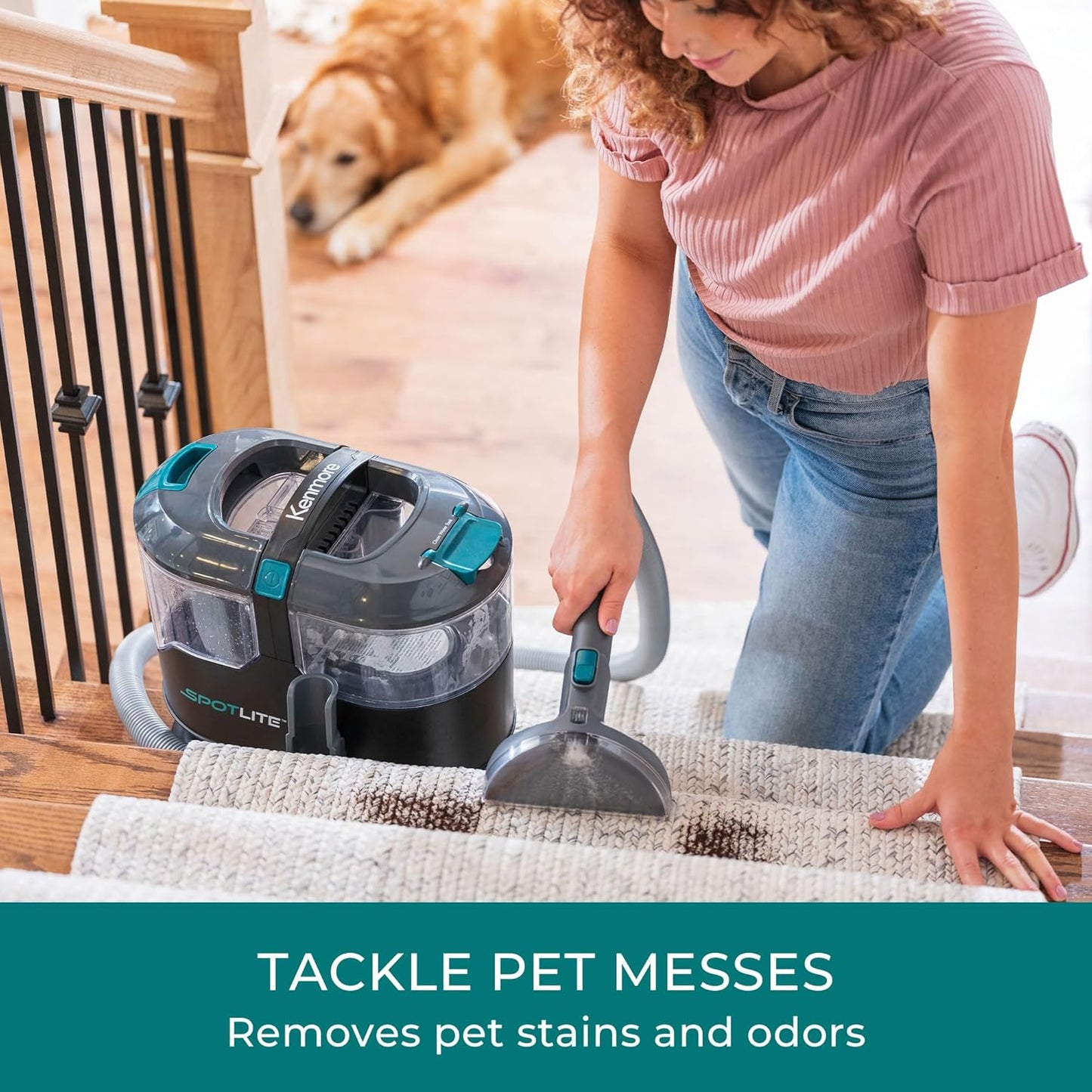 Kenmore KS1010 Deep Clean & Revitalize Pet Carpet Spot Cleaner Formula, 64 Oz for Carpet, Rugs, and Upholstery, Eliminates Pet Stains, Messes and Odors
