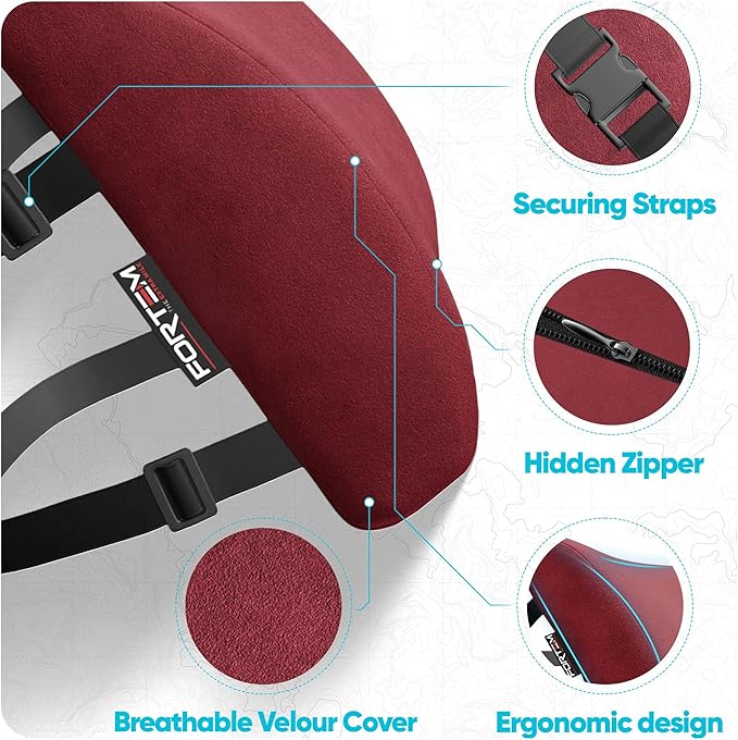 FORTEM Lumbar Support Pillow for Office Chair, Lumbar Support Pillow for Car, Back Rest for Gaming, Memory Foam Pillow, Desk Chair Cushion, Breathable & Washable Cover, Adjustable Straps