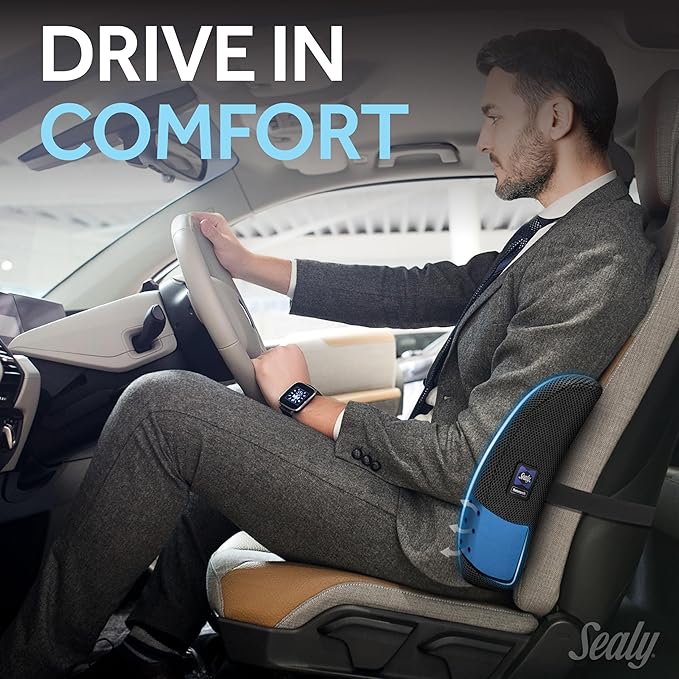 Sealy Lumbar Support Pillow with Cooling Gel – Ergonomic Office Chair Cushion for Back Support – Memory Foam Back Pillow for Car, Office, or Home, Black