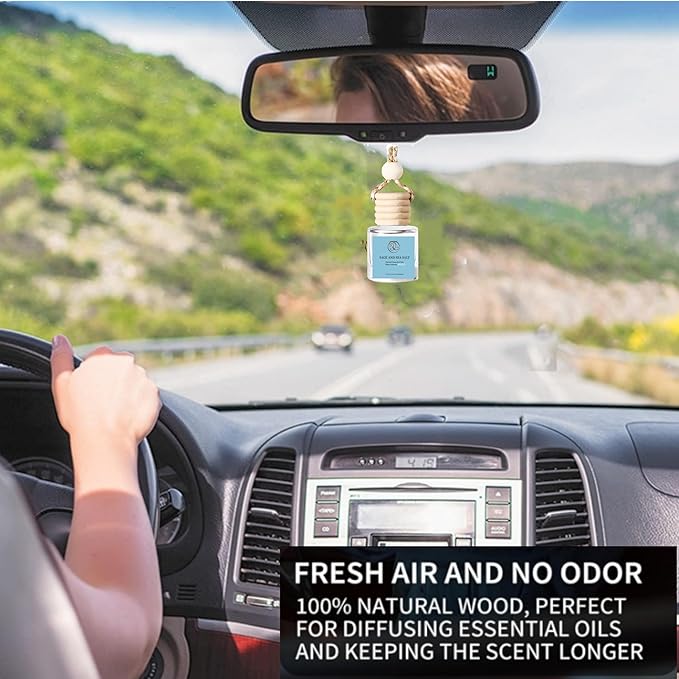2Pack Sage and Sea Salt Scented Automotive Air Freshener Set, Car Accessories Decoration Hanging Scented Car Diffuser for Men Women Best Gifts
