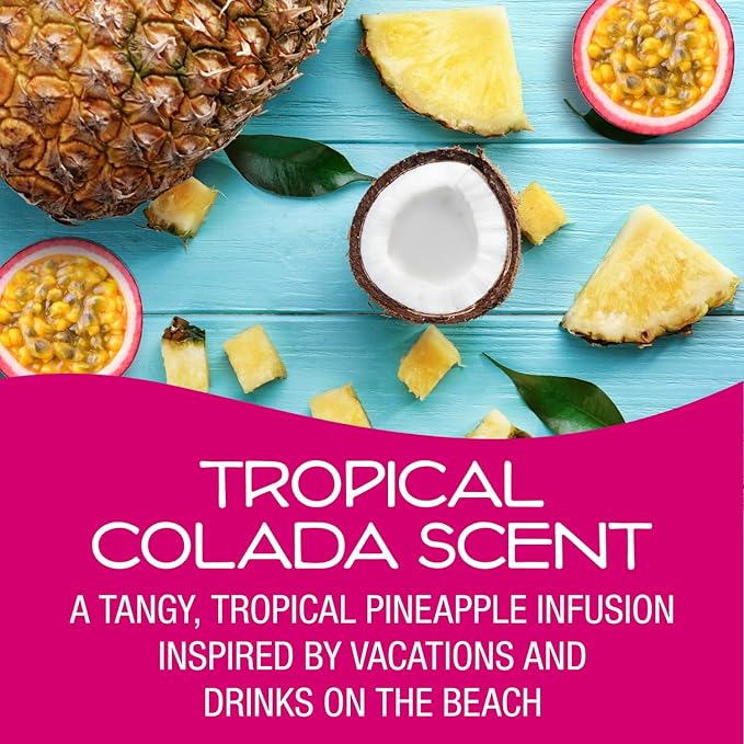 California Scents Palms Paper Tropical Colada Air Freshener