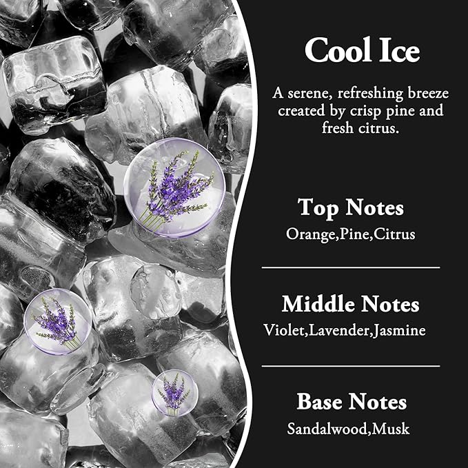 RoyAroma Hanging Car Air Fresheners, 2 Pack Long Lasting Automotive air fresheners up to 30-45 Days, Non Toxic Natural Fragrance Car Diffuser Freshener for Cars,Home,Office- Cool Ice