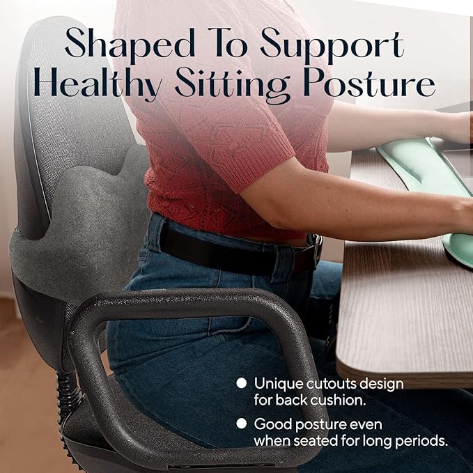 SUTERA Low Back Pillow - Proper Posture Lumbar Support Pillow for Office Chair or Car Seat for Back Support, Superior Memory Foam Cushion for Back Pain Relief from Sitting (18.3x11.3x6.9 inches)