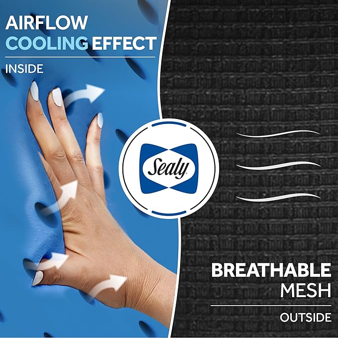 Sealy Memory Foam Neck Pillow for Car or Office Chair – Cervical Neck Pillow, Cooling Car Headrest Pillow or Office Chair Cushion for Neck