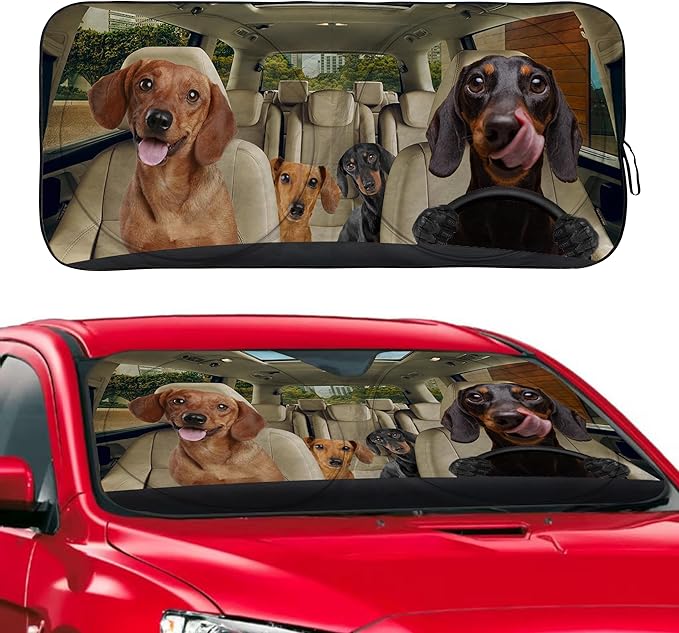 Dachshund Dog Windshield Sunshade for Car SUV Truck Foldable Uv Ray Reflector Front Window Sun Shade Visor Shield Cover -59" X 31"