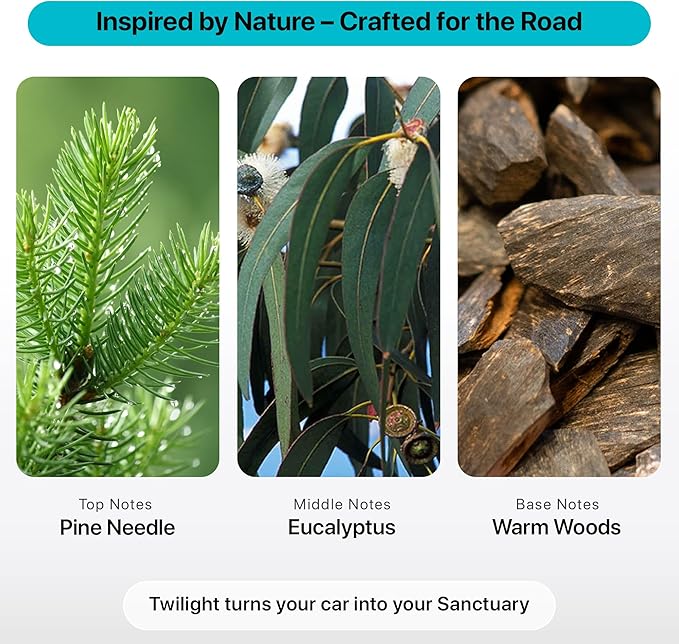 Luxury Car Air Freshener - Aesthetic Car Accessories - Twilight (Pine & Eucalyptus) - REACH & CA Prop 65 Compliant - Formulated Without Phthalates & Benzene - Premium New Car Gift