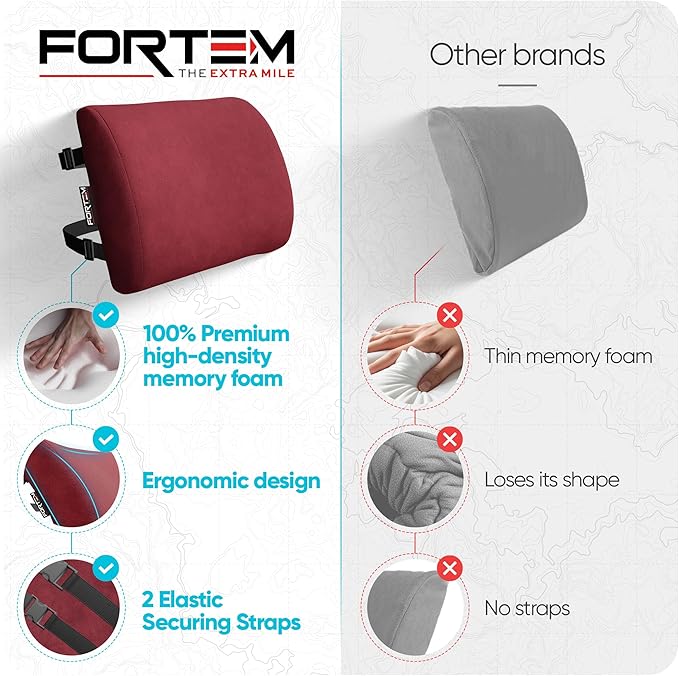 FORTEM Lumbar Support Pillow for Office Chair, Lumbar Support Pillow for Car, Back Rest for Gaming, Memory Foam Pillow, Desk Chair Cushion, Breathable & Washable Cover, Adjustable Straps