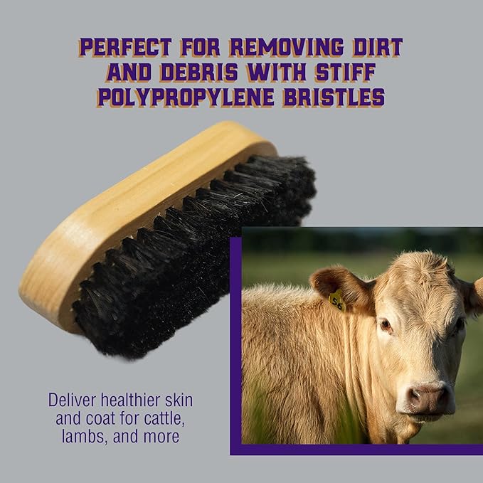 Weaver Livestock Barn Brush, Wooden Grooming Brush for Goat, Sheep, Pigs, Cattle, Stiff Bristles for Dirt Removal, Show Animal Grooming Tools
