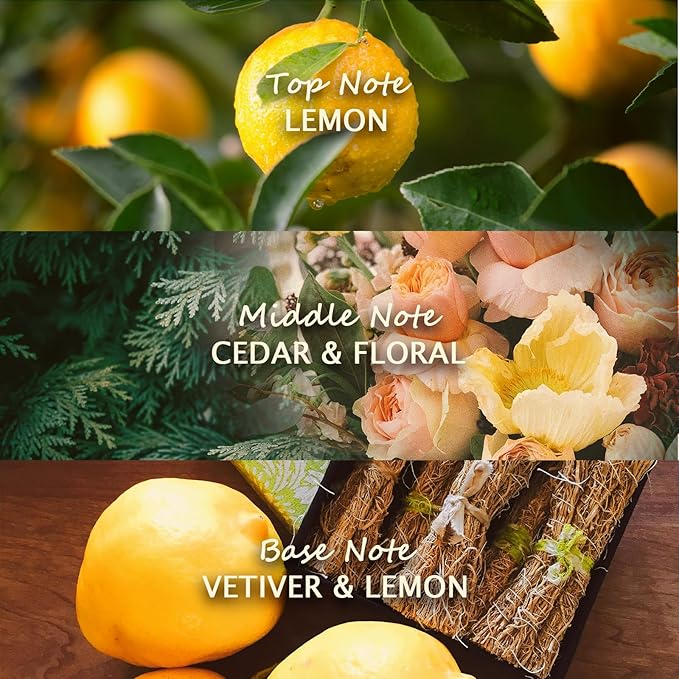 Banami Lemon Shape Air Freshener Gel, Decorative Odor Eliminator for Home, Car, RV, Bathroom, Pet Areas (Lemon)