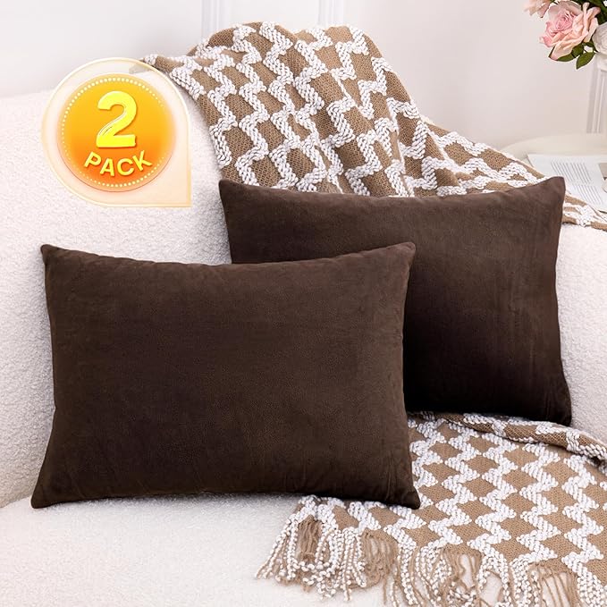 2 Pack Small Pillow, 16 X 12 Inches, Memory Foam Mini Pillow for Travel, Camping, Sleeping, Nap and Neck, Knee, Lumbar Support, Tiny Cushion for Pet, Dogs (Brown)