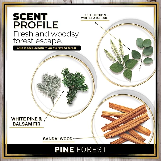 Urban Naturals Car Air Freshener Pine Forest Scent Diffuser, Long Lasting Car Fresheners Made in USA, Odor Eliminating Technology, Hanging Auto Accessories + Vent Clip (1 Pack)